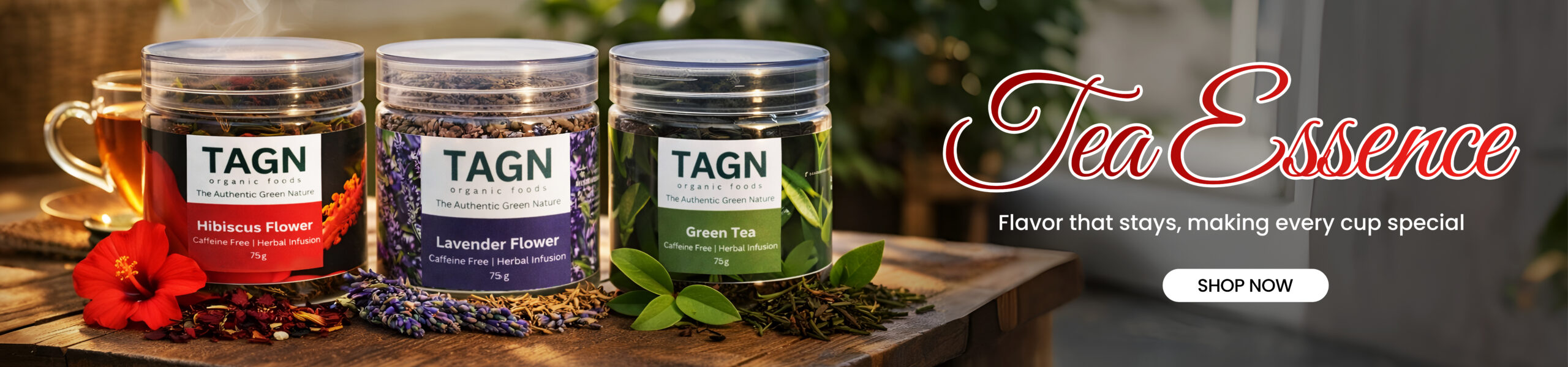 TAGN banner 2.jpg